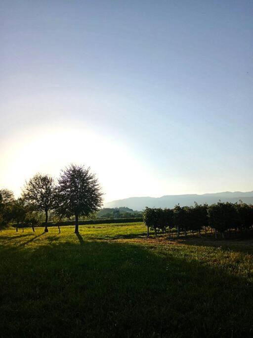 Relax Nelle Colline Del Prosecco Apartment Pederobba Exterior photo